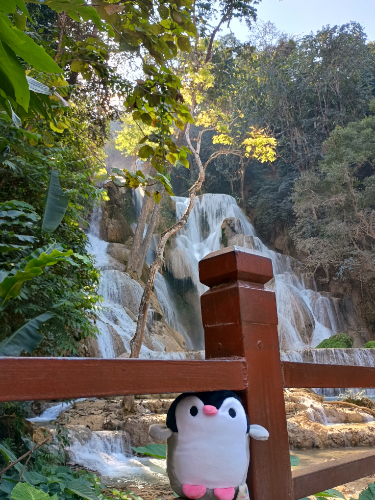 Waddles in front of a waterfall