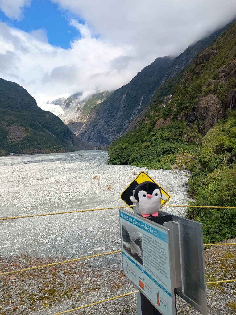 Waddles in front of a glacier